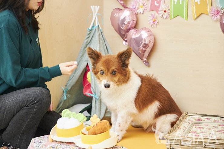 [사진=이채현 기자]