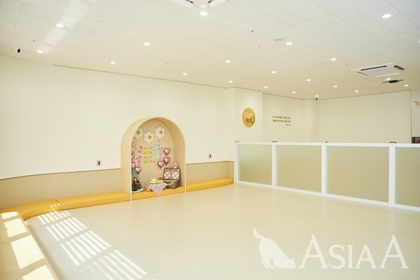 애견동반 레지던스 '빌라드 컴페니언 원' 내 입점한 털로덮인 친구들 애견 유치원 [사진=이채현 기자]