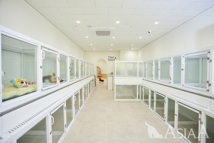 [사진=이채현 기자]