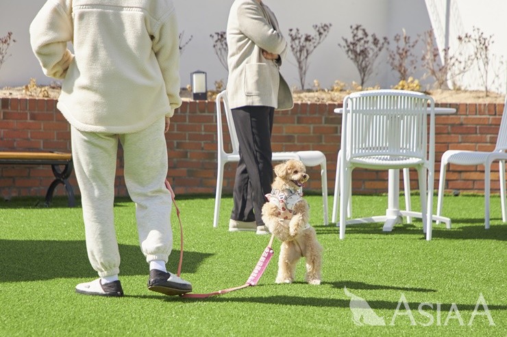 [사진=이채현 기자]