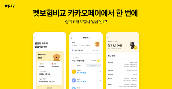 [사진=카카오페이]