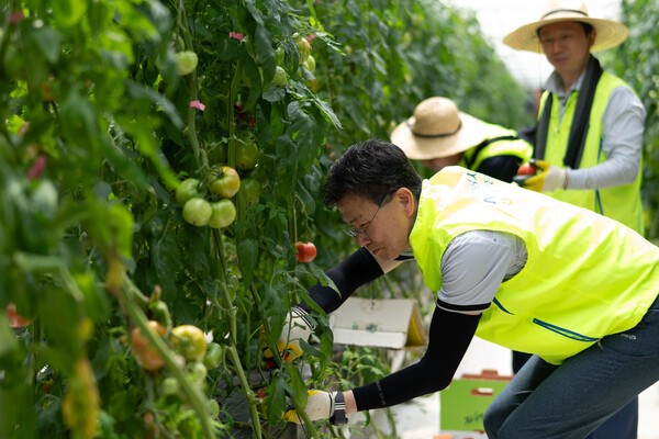 [사진=NH농협은행]