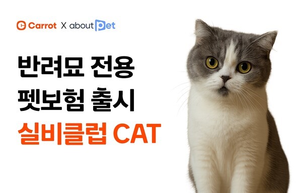 [사진=캐롯손해보험]