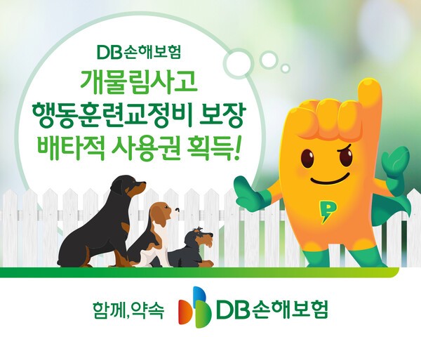 [사진=DB손해보험]