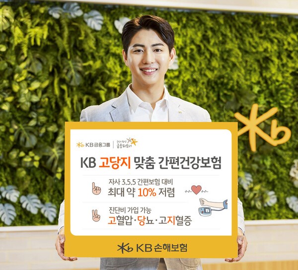 [사진=KB손해보험]