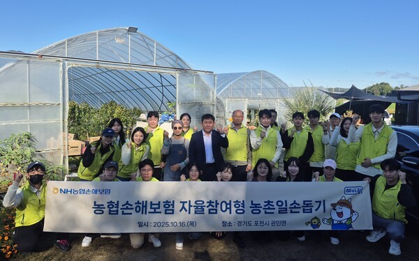 [사진=농협손보]