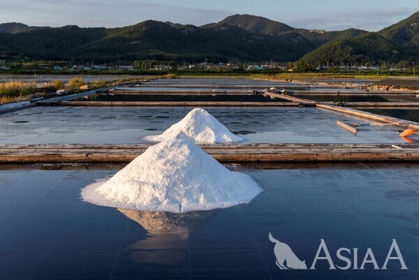 솔티앙이 만들어지는 곰소염전 전경.
