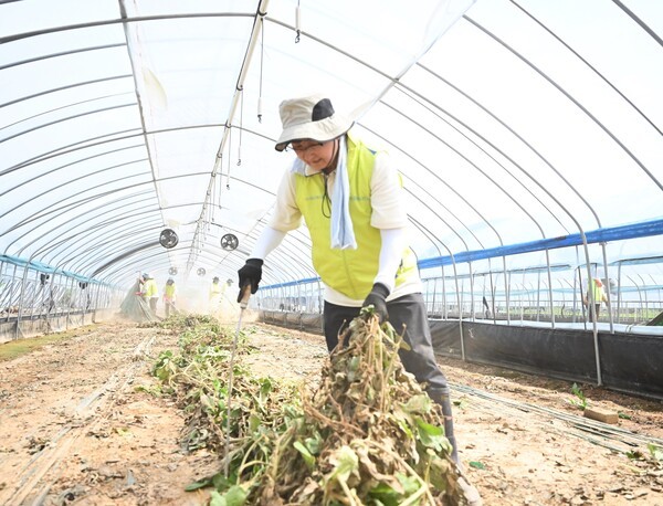 [사진=NH농협손해보험]