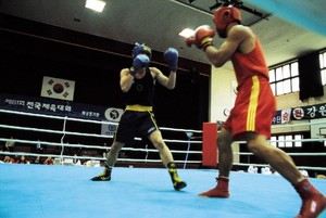 TEC 코인, 미들급·웰터급 KBF 2대 권투 타이틀매치 지원 확정 - 뉴스 썸네일 이미지