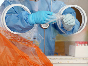 [속보] 영동군청 21일 확진자 1명 발생 알려 - 뉴스 썸네일 이미지