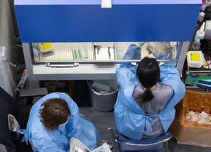 [속보] 음성군청 10일 확진자 29명 발생 알려 - 뉴스 썸네일 이미지