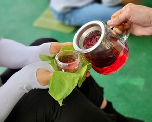 인천 강화군 "'마니산 치유의 숲' 인천 웰니스 관광지로 자리매김" - 뉴스 썸네일 이미지